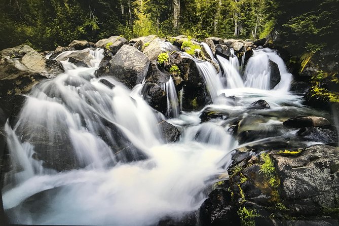 Mt. Rainier National Park Highlights Tour - Your guide matters more than the printed route
