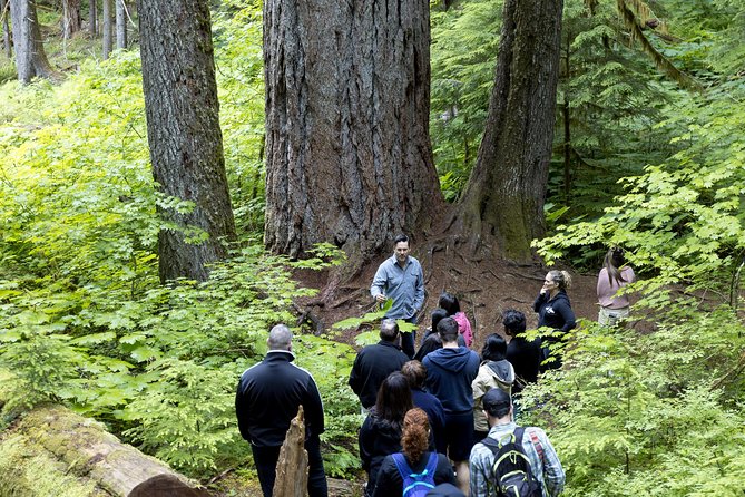 Mt. Rainier National Park Highlights Tour - Is $150 a fair price?