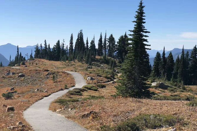 Mt Rainier National Park Small Group Day Tour from Seattle 2CanGo - Key points at a glance
