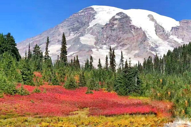 Mt Rainier National Park Small Group Day Tour from Seattle 2CanGo - Winter changes everything