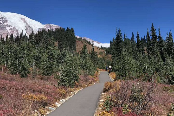 Mt Rainier National Park Small Group Day Tour from Seattle 2CanGo - Food, rest stops, and what to pack