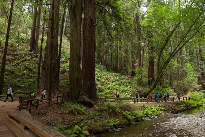 Muir Woods and Sausalito (Return by Bus or Ferry) - Starting in Union Square or Fisherman’s Wharf