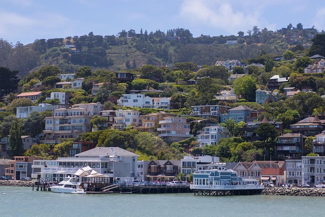 Muir Woods and Sausalito (Return by Bus or Ferry) - Ninety minutes beneath the coastal redwoods