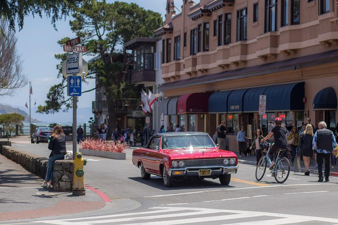 Muir Woods and Sausalito (Return by Bus or Ferry) - Sausalito in one focused hour
