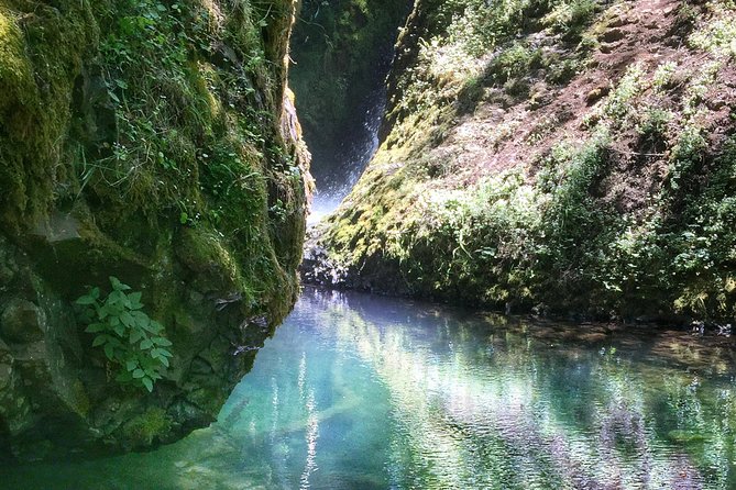 Multnomah Falls and Columbia River Gorge Half-Day Hiking Tour - Why This Half-Day Gorge Tour Works
