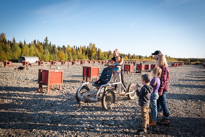 Mush Your Own Sled Dog Team (Summer/Fall Tour) - Should you book Mush Your Own Sled Dog Team?
