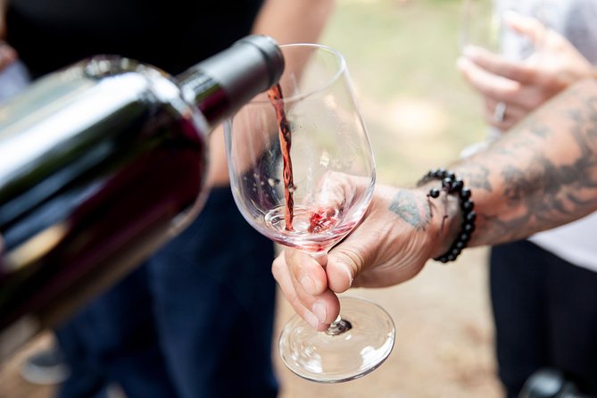 Napa and Sonoma Wine Country Full-Day Tour from San Francisco - Artesa Winery delivers the big view