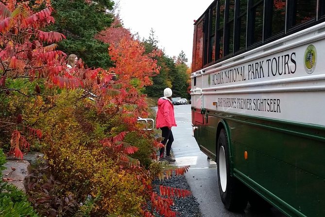 Narrated Bus Tour of Bar Harbor and Acadia National Park - Cadillac Mountain gives you the high view