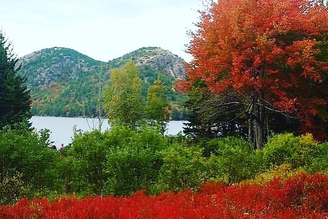 Narrated Bus Tour of Bar Harbor and Acadia National Park - Sieur de Monts Spring connects nature and park history