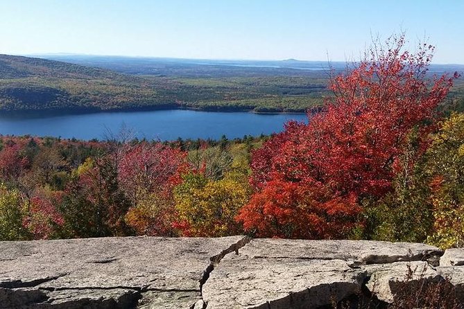 Narrated Bus Tour of Bar Harbor and Acadia National Park - The narration is the main value between stops