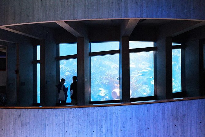 New England Aquarium Admission Ticket in Boston - Key points to know before you go