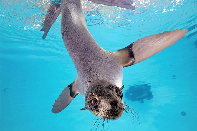 New England Aquarium Admission Ticket in Boston - The Giant Ocean Tank is the main event