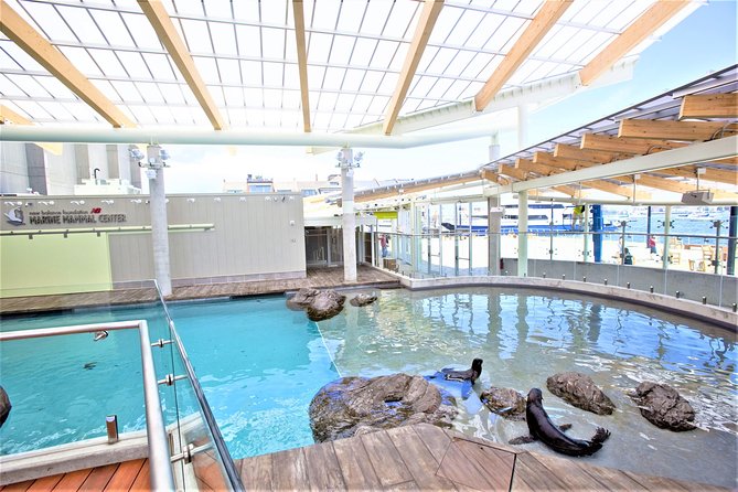 New England Aquarium Admission Ticket in Boston - What is included, and what costs extra