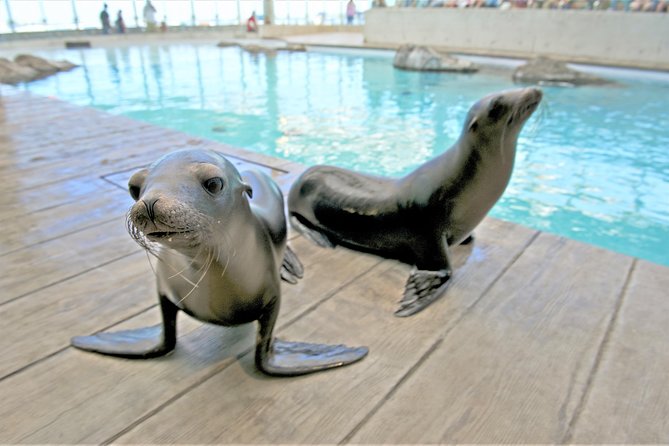 New England Aquarium Admission Ticket in Boston - Where this aquarium works best for families
