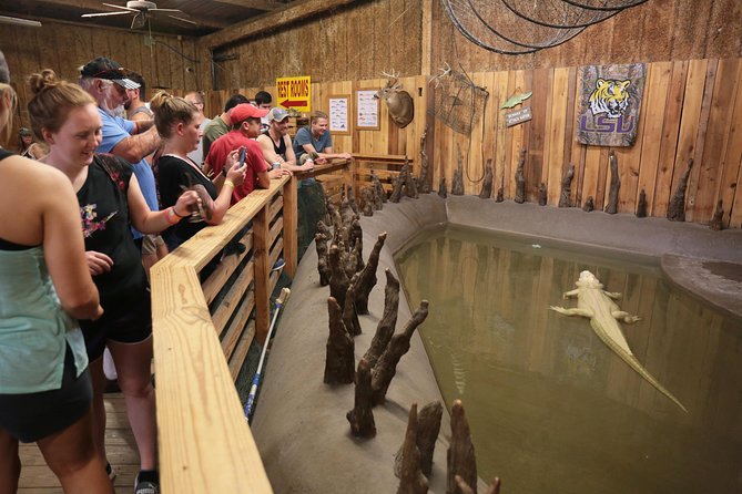 New Orleans Airboat Ride - Timing, weather, and what to wear