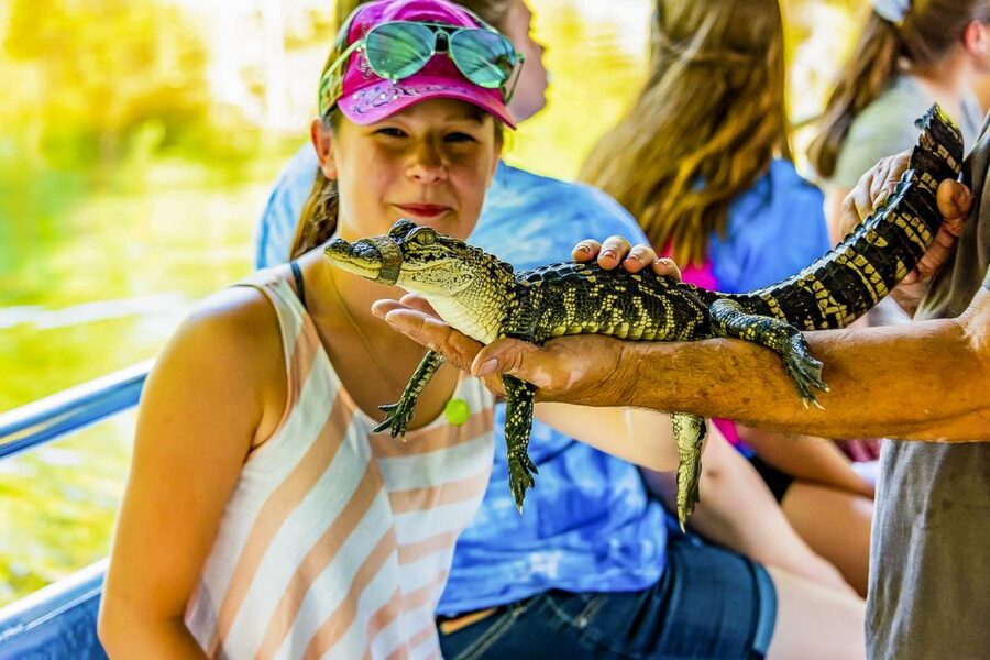 New Orleans: Bayou Swamp Tour and Oak Alley Plantation Tour - Key points to know before booking