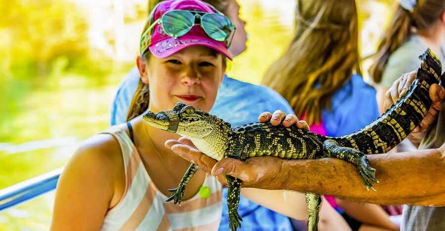 New Orleans: Bayou Swamp Tour and Oak Alley Plantation Tour - Two Louisiana worlds in one day