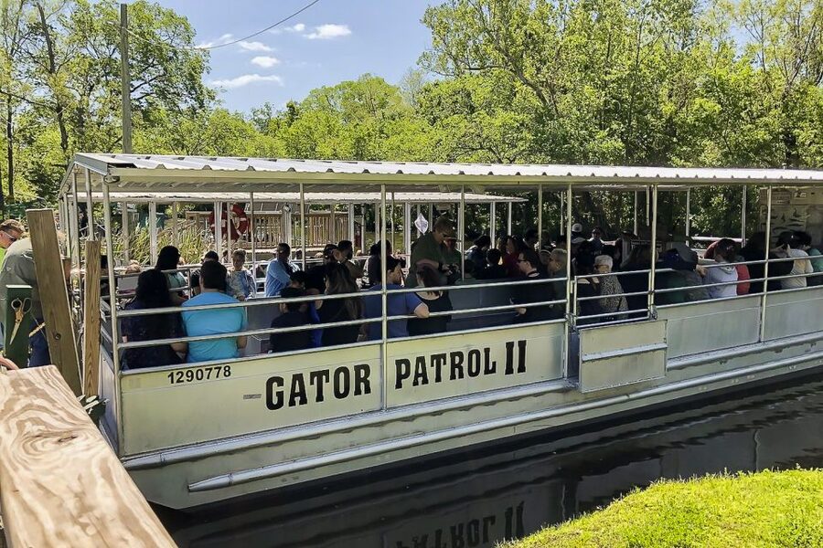 New Orleans: Bayou Swamp Tour and Oak Alley Plantation Tour - Who will get the most from this experience