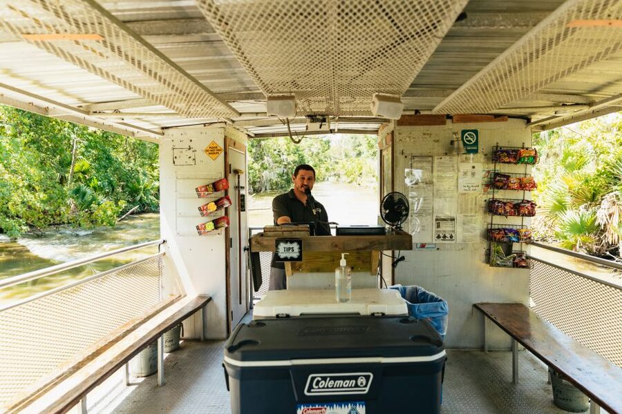 New Orleans: Bayou Tour in Jean Lafitte National Park - Wildlife in the bayou, from alligators to owls