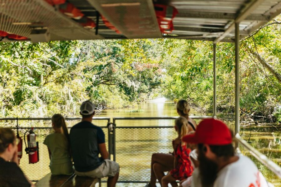 New Orleans: Bayou Tour in Jean Lafitte National Park - What to wear and what to bring