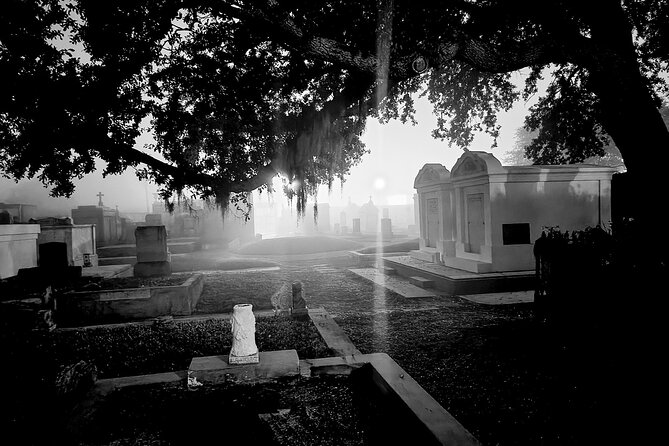 New Orleans Cemetery Bus Tour with Exclusive Cemetery Access - Seeing cemeteries from the bus