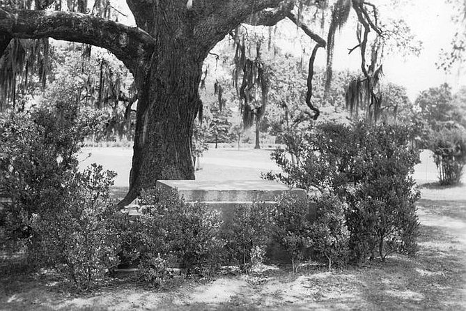 New Orleans Dead of Night Ghosts and Cemetery Bus Tour - Which guide and group will enjoy it most