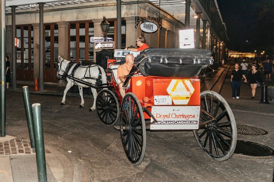 New Orleans: French Quarter Sightseeing Carriage Ride - Who should book this carriage ride?