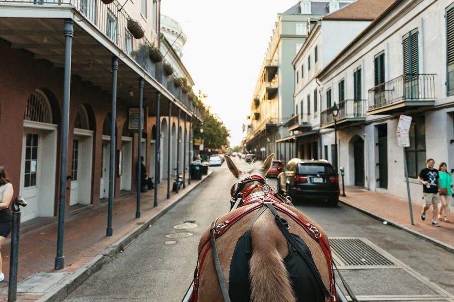 New Orleans: French Quarter Sightseeing Carriage Ride - What the mule-drawn carriage adds