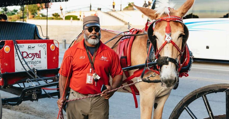 New Orleans: French Quarter Sightseeing Carriage Ride - How the guides affect the hour