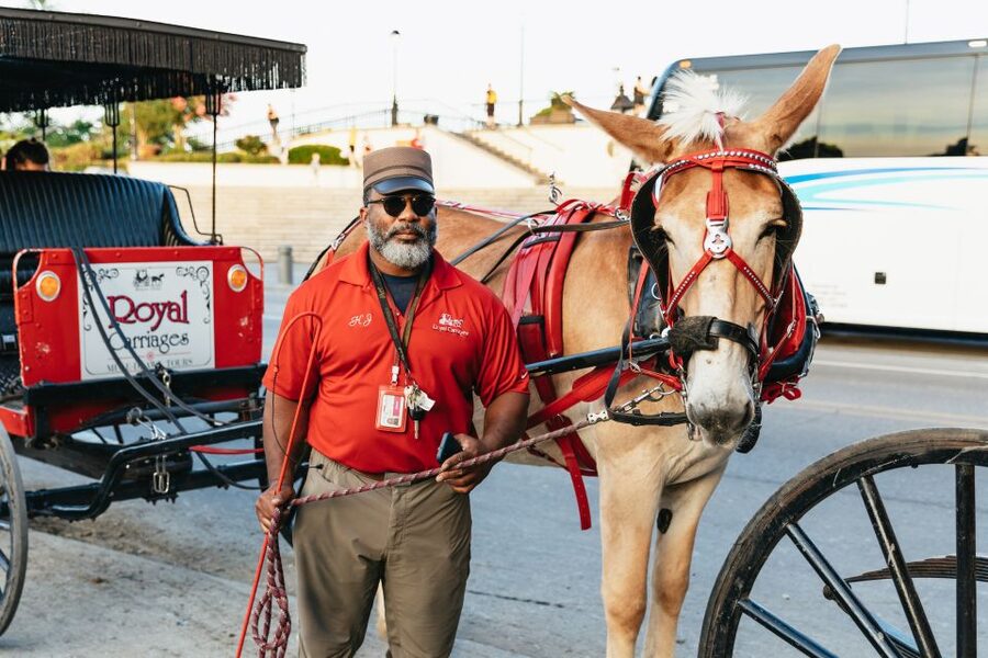 New Orleans: French Quarter Sightseeing Carriage Ride - Is $65 a fair price?