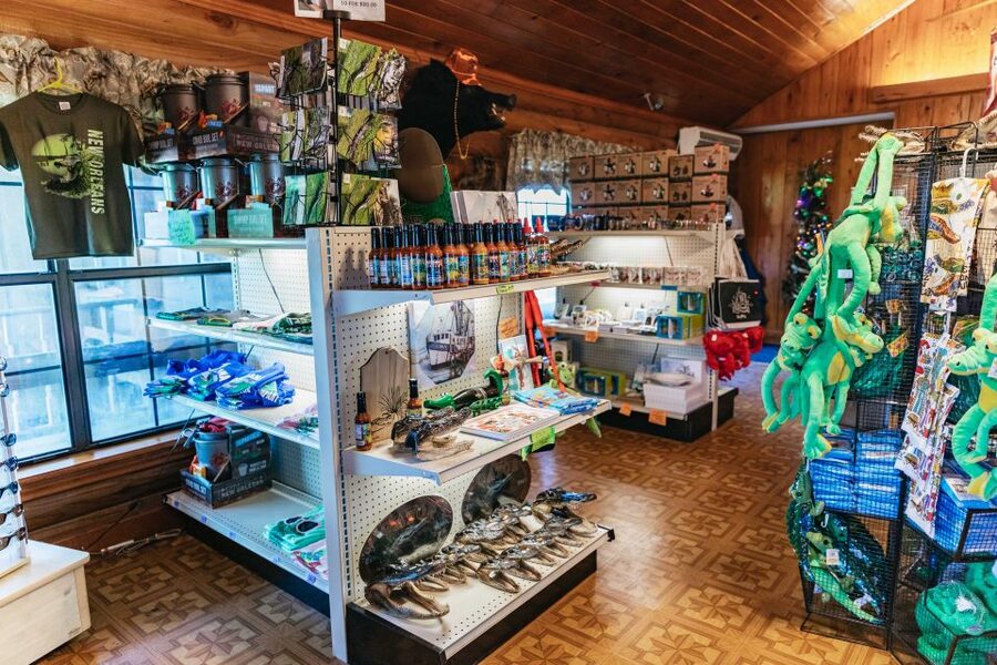 New Orleans: Guided Swamp Cruise by Tour Boat - How the $35 price compares