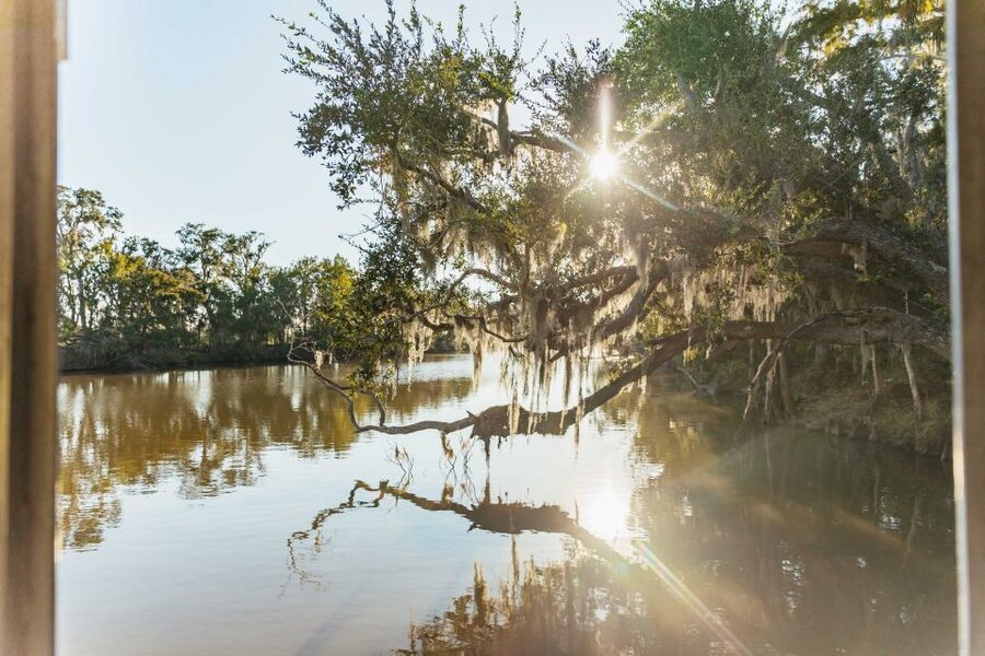 New Orleans: Guided Swamp Cruise by Tour Boat - Captain stories make the swamp come alive