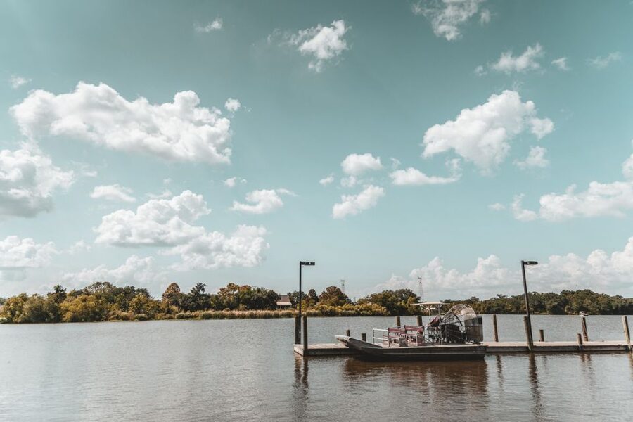 New Orleans: High Speed 16 Passenger Airboat Ride - Finding alligators, birds, and smaller swamp life
