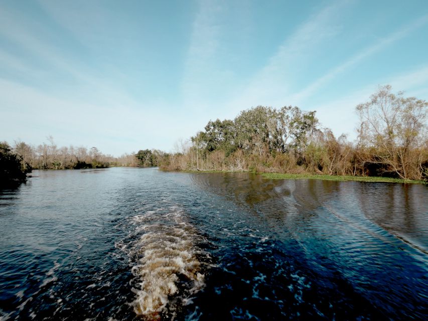 New Orleans: High Speed 16 Passenger Airboat Ride - FAQ