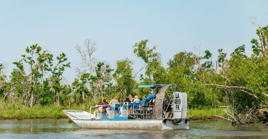 New Orleans: High Speed 9 Passenger Airboat Tour - Alligators, birds, and the luck of the day