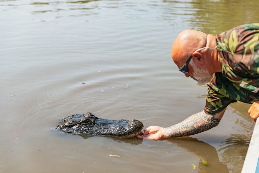 New Orleans: High Speed 9 Passenger Airboat Tour - Cajun life and the story of the swamp