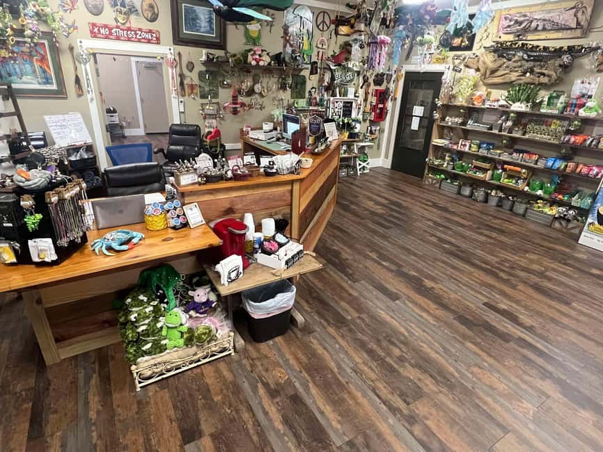New Orleans Manchac Bayou Swamp Cruise W/ Optional Pick-Up - Practical tips for a better outing