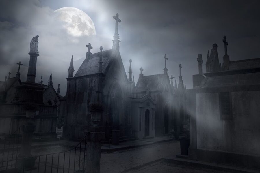 New Orleans: Night Cemetery and Ghost BYOB Bus Tour - Is $45 a fair price?