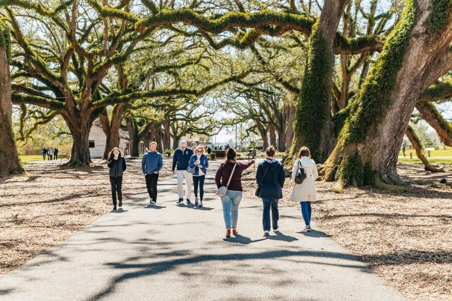 New Orleans: Oak Alley Plantation & Airboat Swamp Combo Tour - Who should book this day trip?