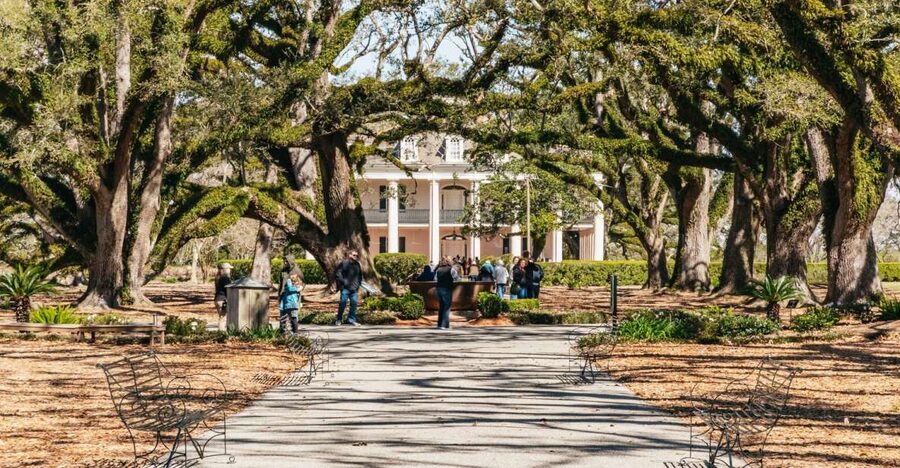 New Orleans: Oak Alley Plantation & Airboat Swamp Combo Tour - Oak Alley and its famous oak avenue