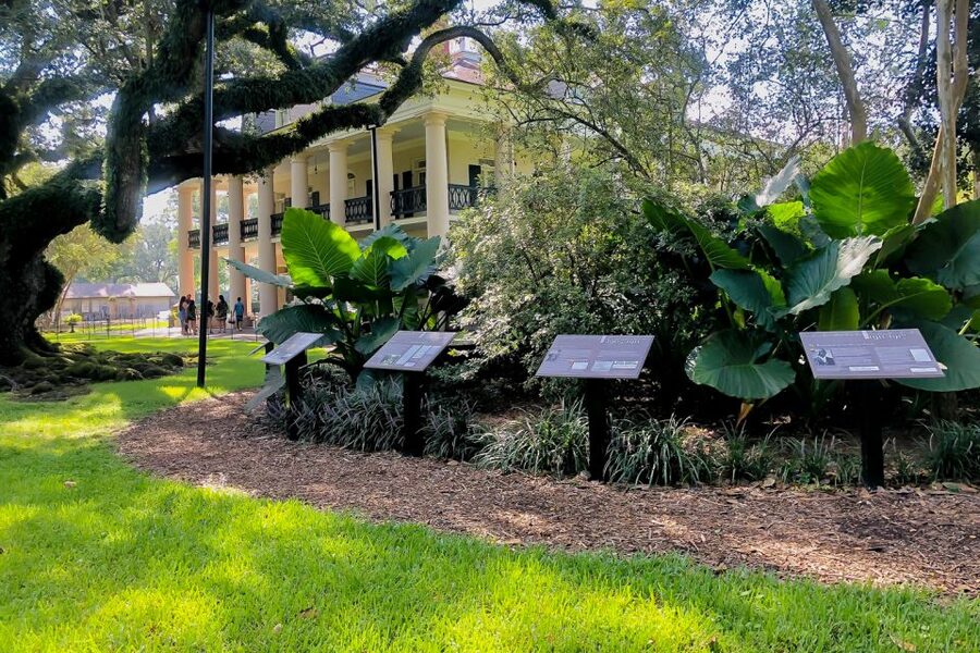 New Orleans: Oak Alley Plantation Tour with Transportation - How to use your two hours at Oak Alley