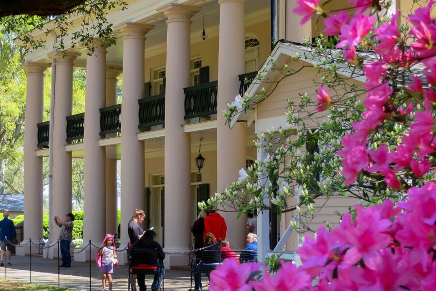 New Orleans: Oak Alley Plantation Tour with Transportation - Should you book Oak Alley from New Orleans?