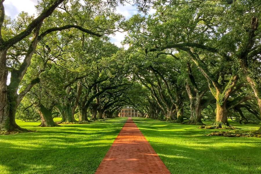 New Orleans: Oak Alley Plantation Tour with Transportation - The slavery exhibit gives Oak Alley its moral weight