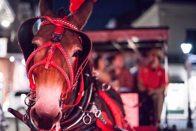 New Orleans Small-Group Haunted History Carriage Tour - The LaLaurie Mansion and the darker side of New Orleans