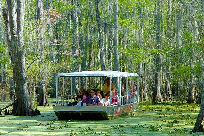 New Orleans Swamp and Bayou Boat Tour with Transportation - Is the $70.12 price good value?