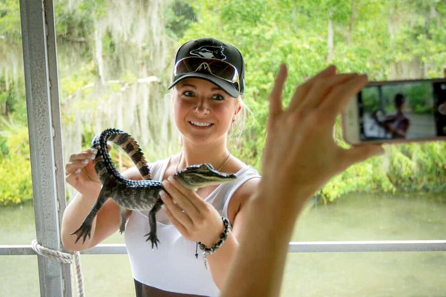 New Orleans: Swamp Boat Ride & Oak Alley Plantation Tour - Two sides of Louisiana in one long day