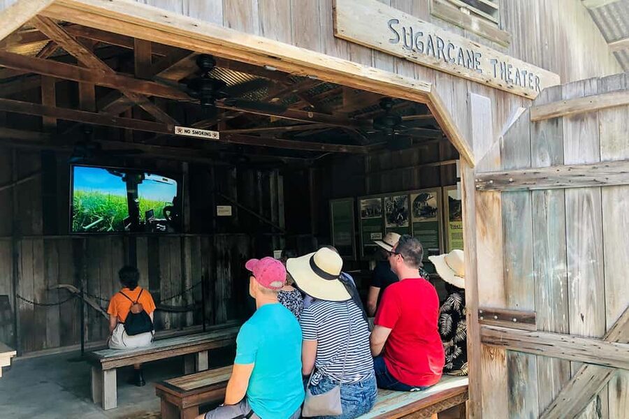 New Orleans: Swamp Boat Ride & Oak Alley Plantation Tour - The guides make the bus ride useful