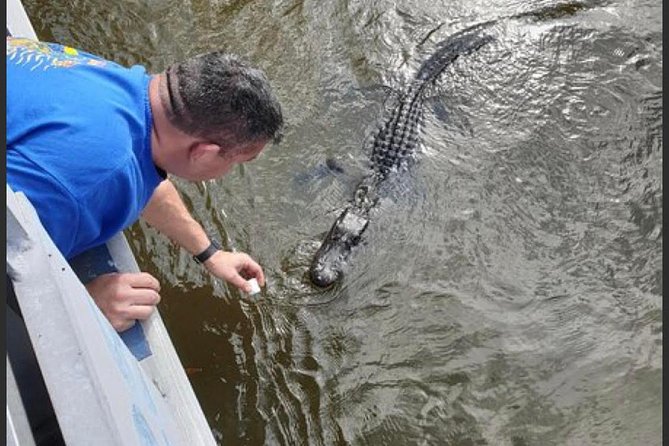 New Orleans Swamp Tour Boat Adventure - Is $35 a good value?