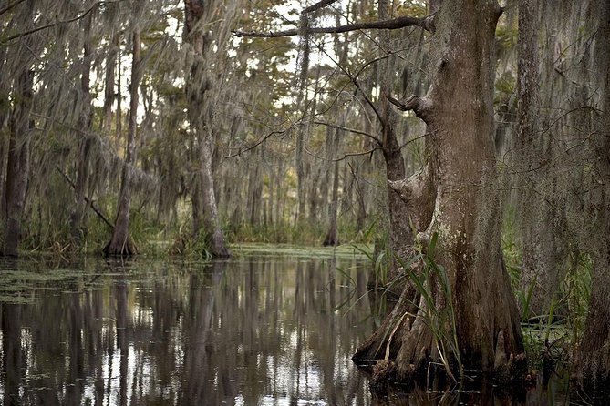New Orleans Swamp Tour Boat Adventure - Reaching the meeting point in Marrero