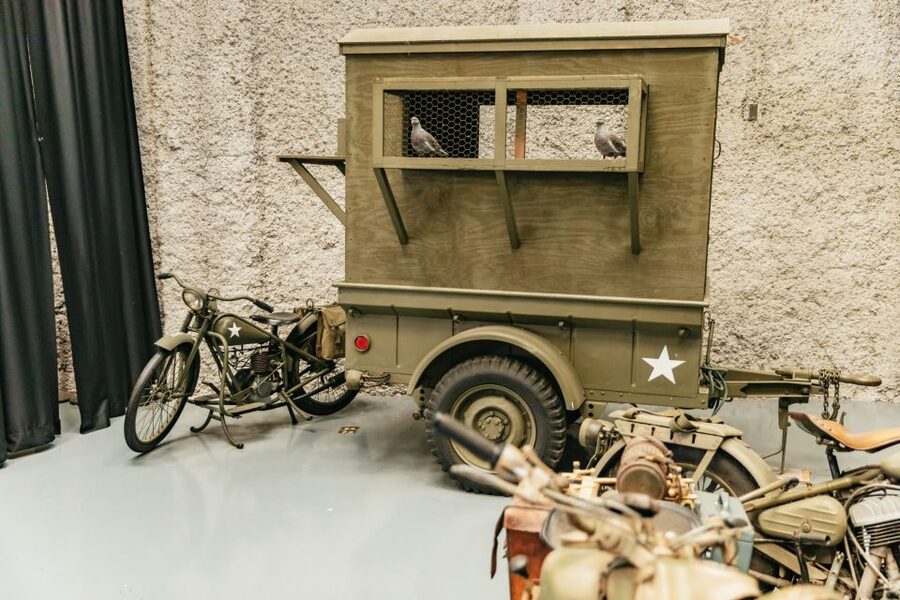 New Orleans: The National WWII Museum Ticket - Food, rest stops, and practical pacing